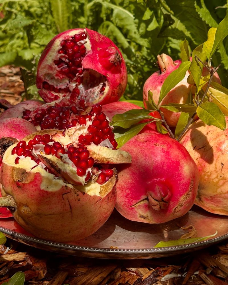 Pomegranates
