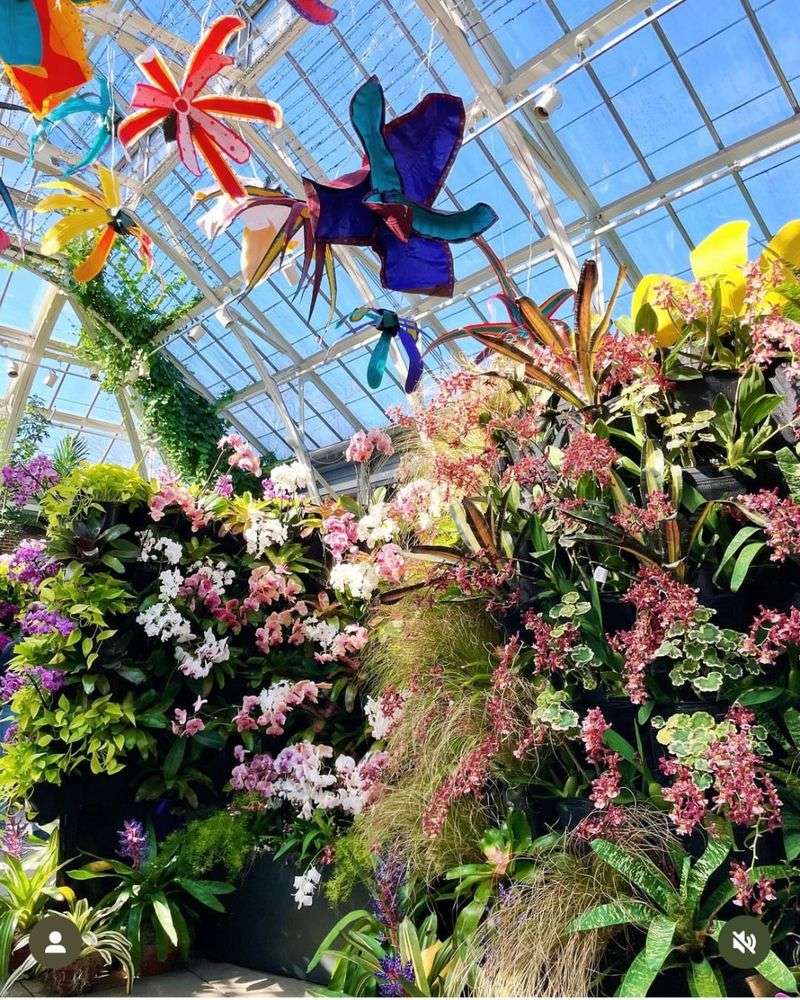 Orchid Tower