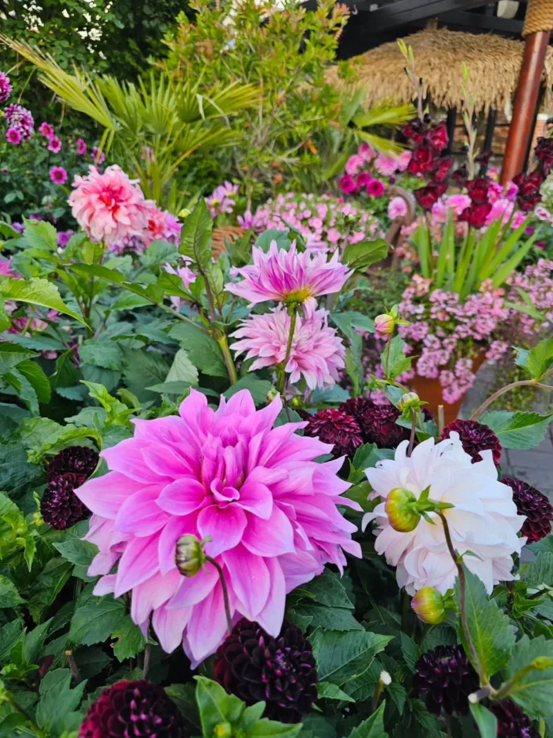 Rainbow Flower Chaos