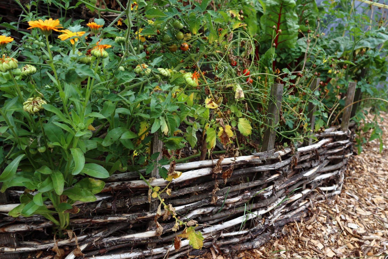 Boston Gardeners Use Foraged Accents To Decorate Raised Beds Uniquely
