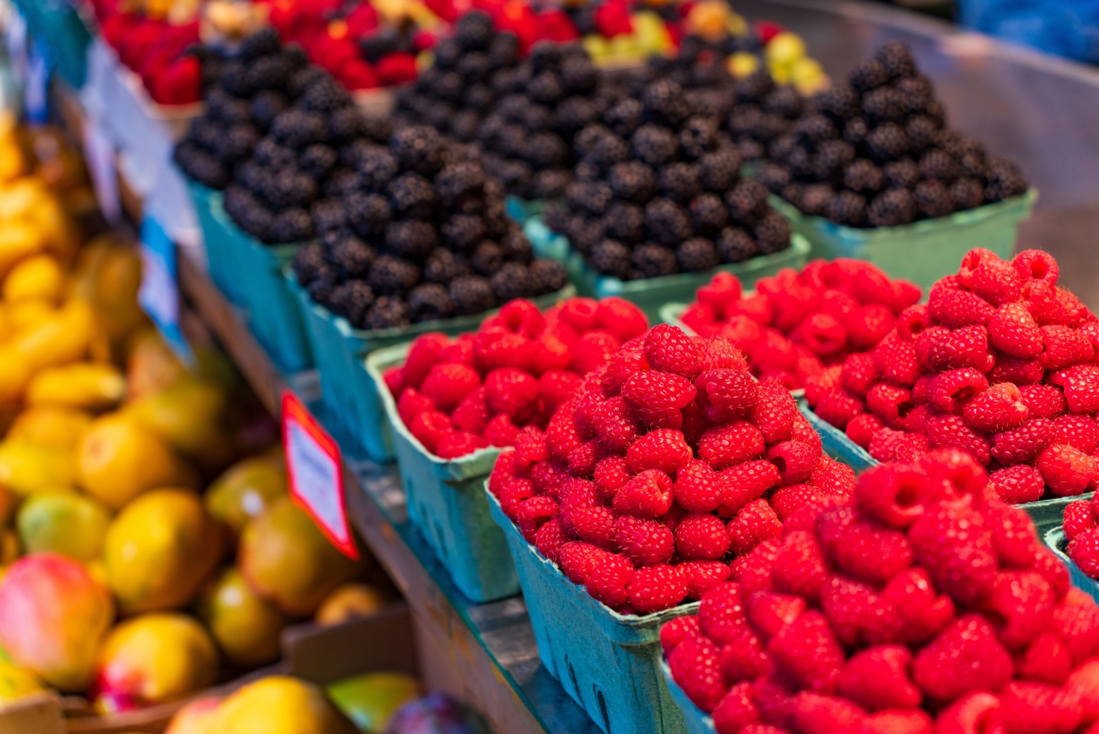Boston Public Market Brings The Garden To The City With Seasonal New England Produce
