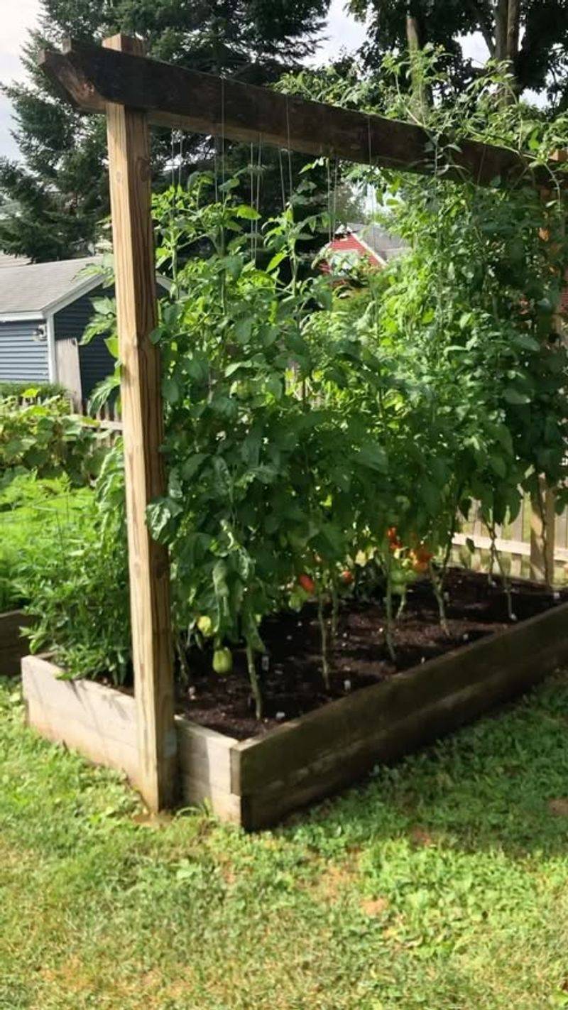 Choose Cold-Tolerant Varieties