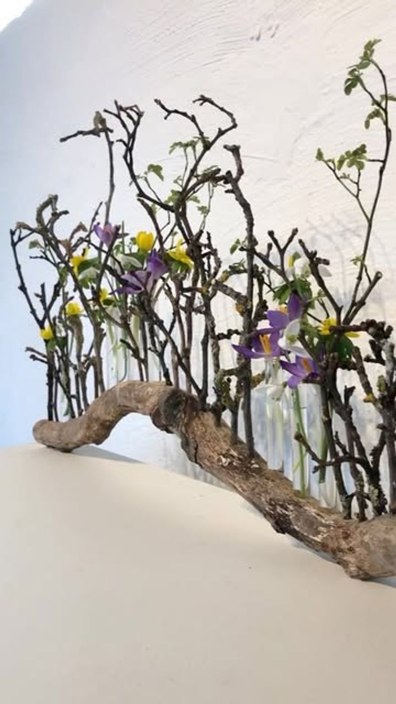 Foraged Branch Installations