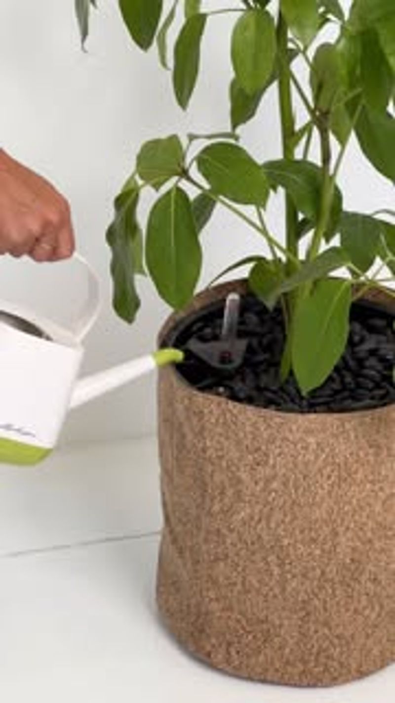 Self-Watering Planters
