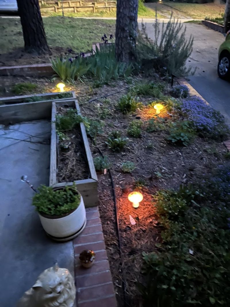 Strategic Lighting