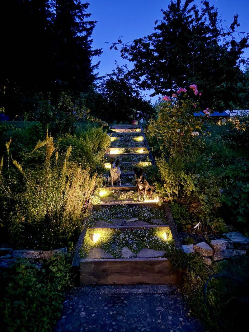 Strategic Lighting