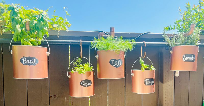Solar-Lit Evening Herb Display