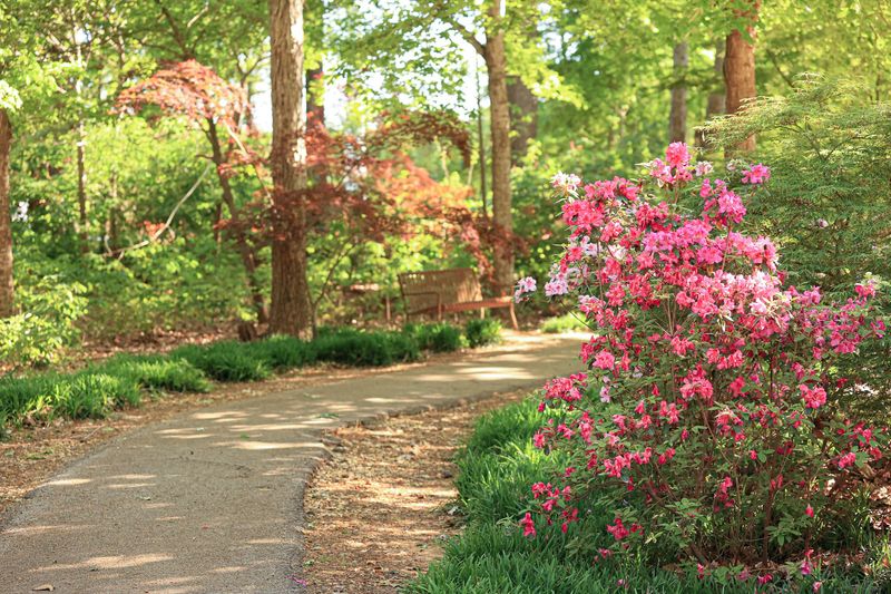 Nacogdoches Keeps Its Gardens Going