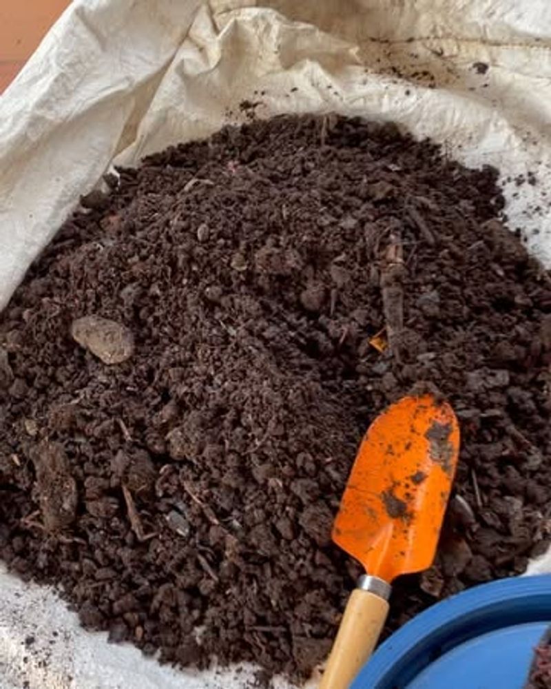 Establish Worm Composting Bins