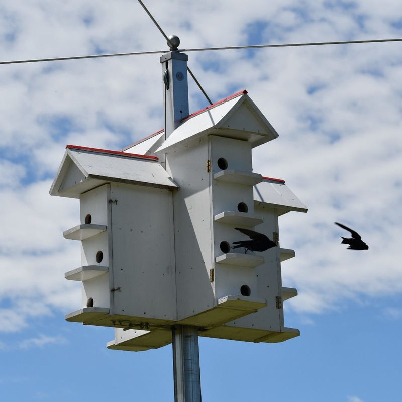 Install The Right Housing