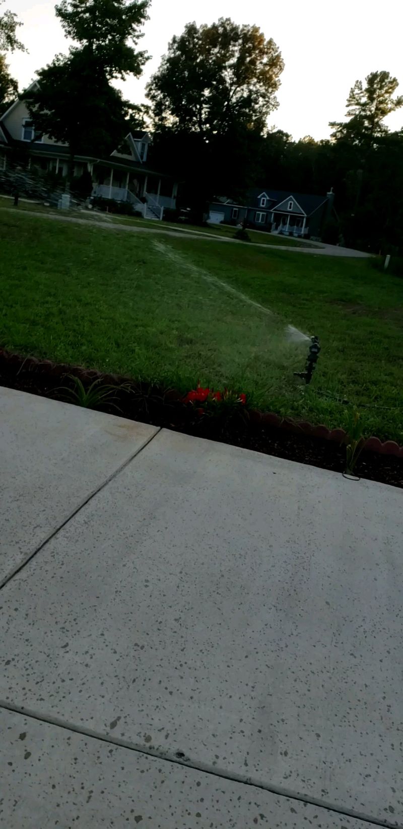 Install Motion-Activated Sprinklers Around Prized Plants