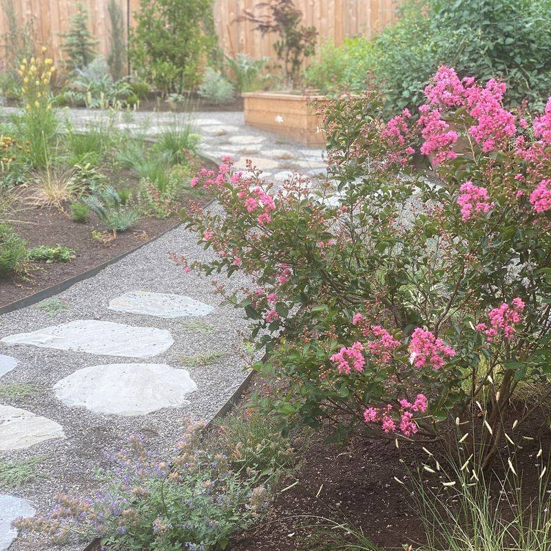 Reflective Companion Planting