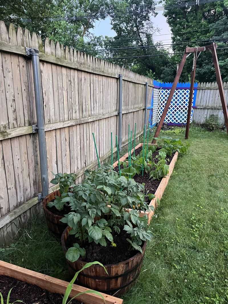 Raised Beds For Missouri's Perennial Edibles