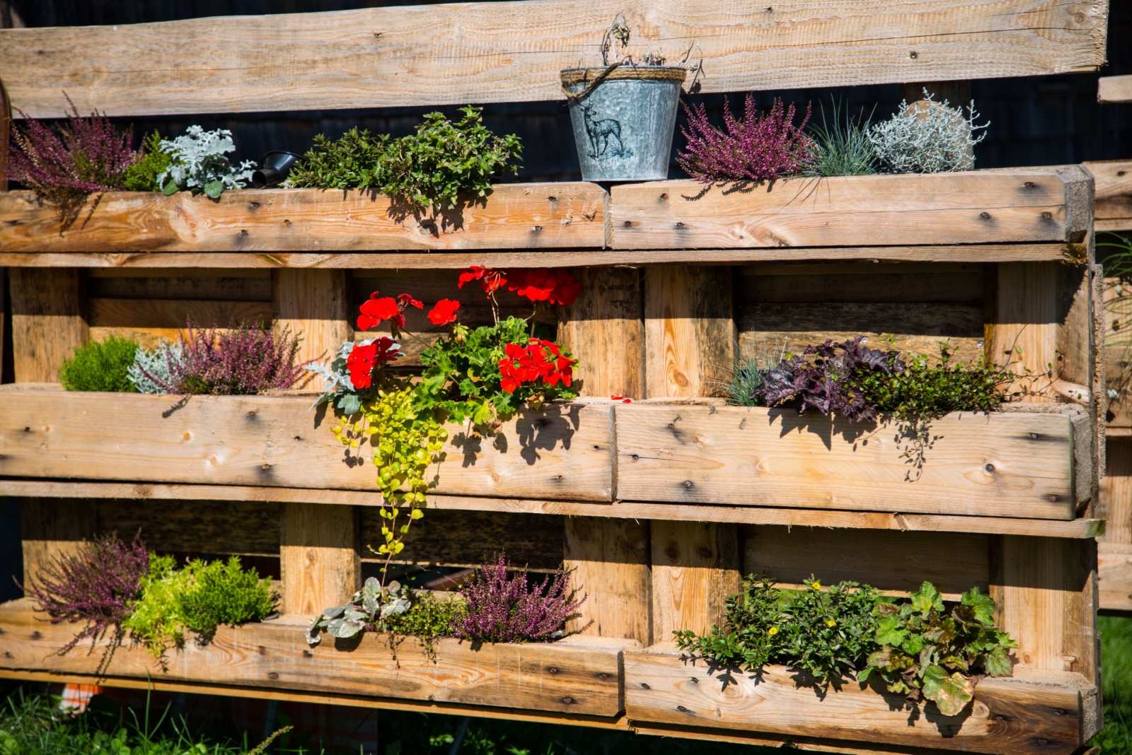 Budget-Friendly Patio Makeovers You Can Do This Weekend In Texas