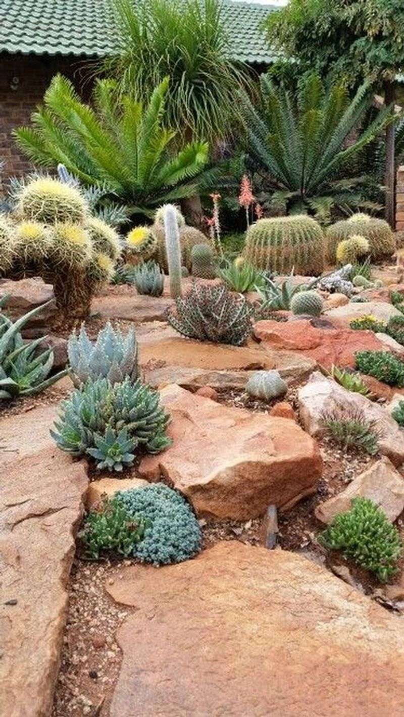 Create a Desert-Inspired Succulent Garden