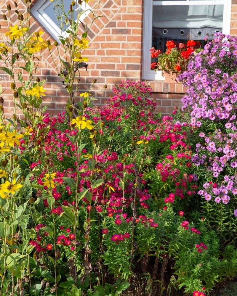 Start A Neighborhood Seed Swap