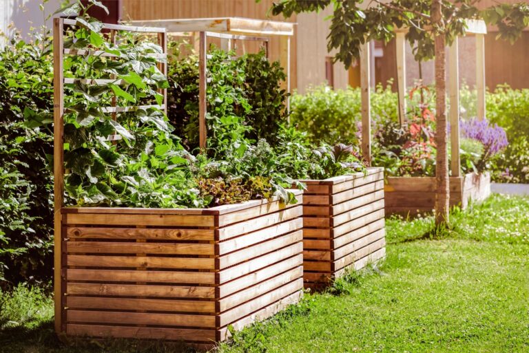 Garden Raised Beds