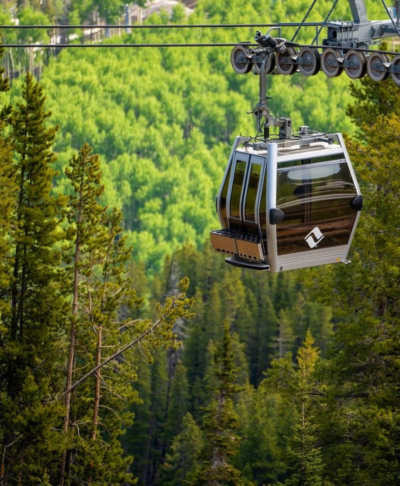 Vail's Back Bowls of Gold