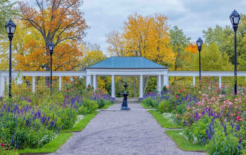 Delaware Park Rose Garden