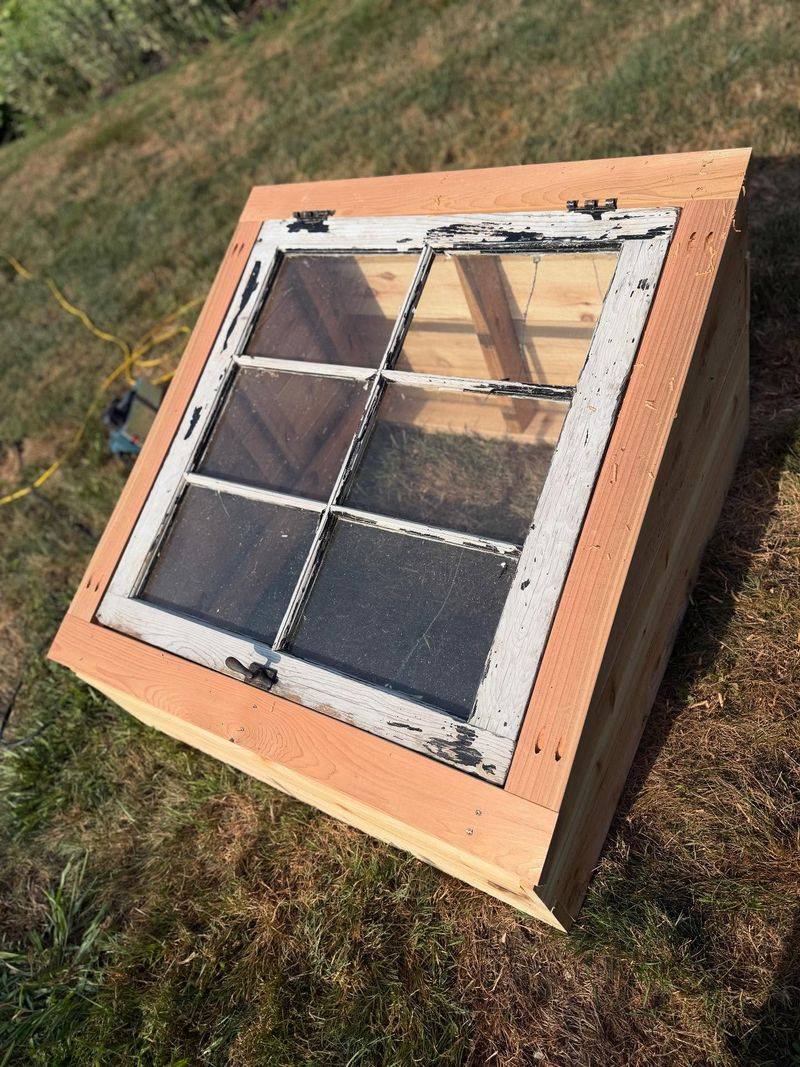 Old Window Wonders