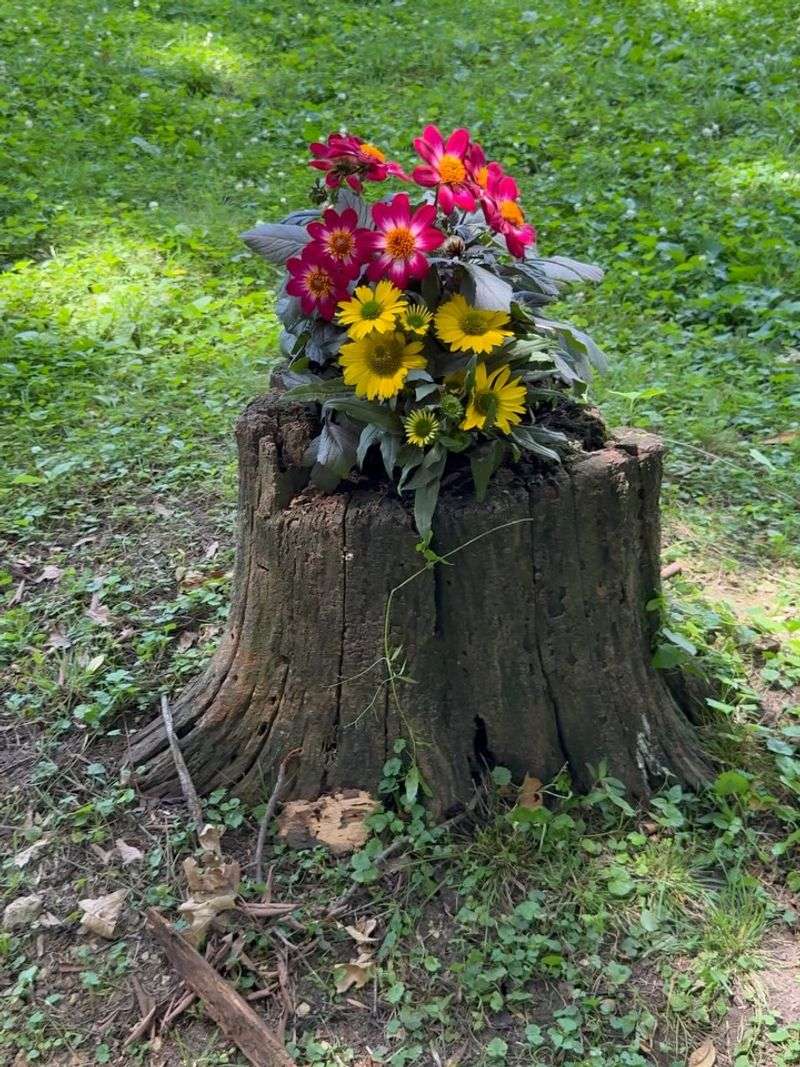 Craft A Four-Season Planter