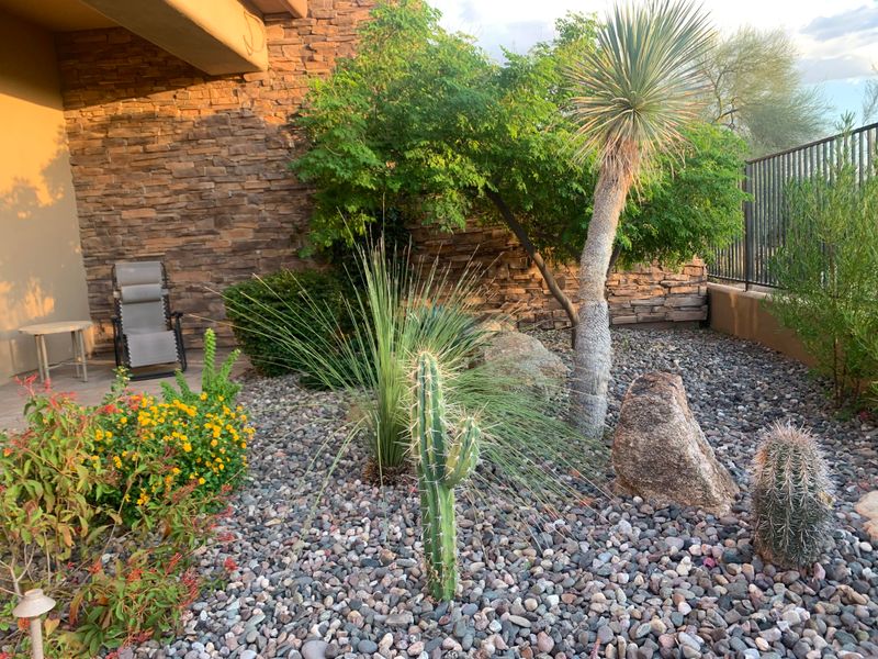 Group Plants By Water Needs