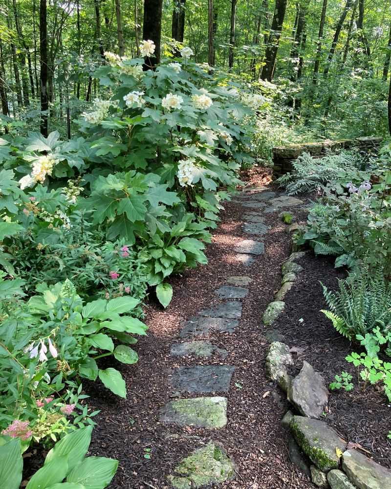 Let Paths Wander