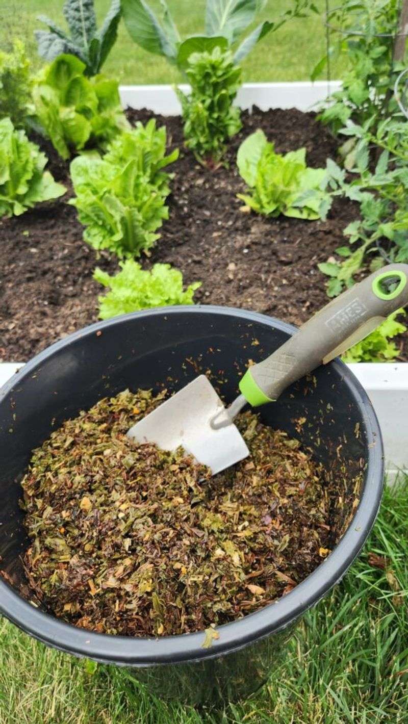 Brew Leaf Tea For Liquid Fertilizer