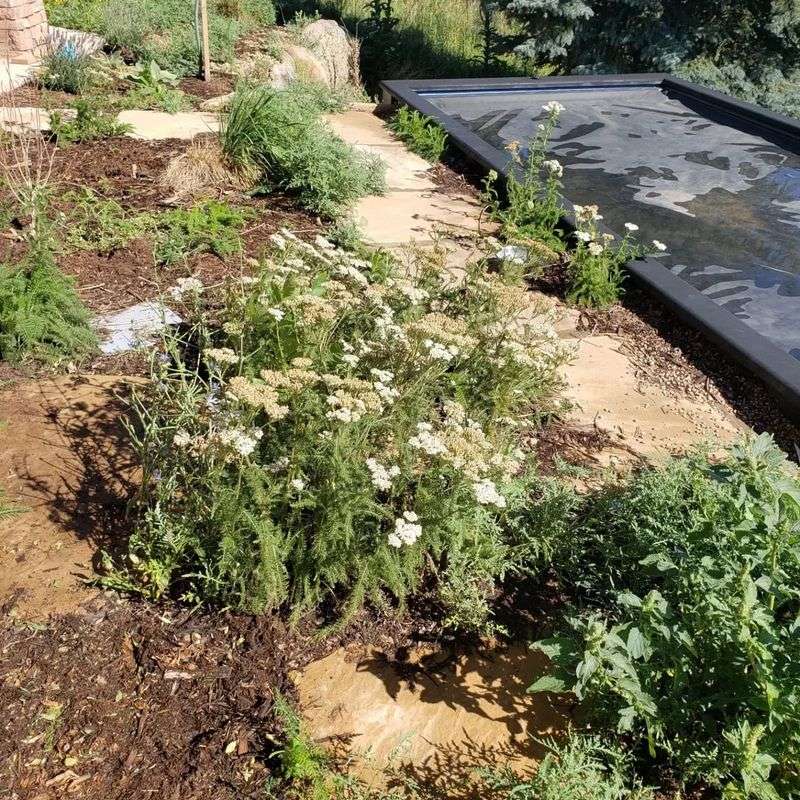 Master The Art Of Mulching