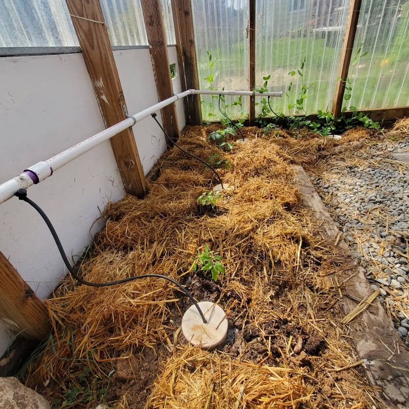 Create Smart Water-Saving Systems