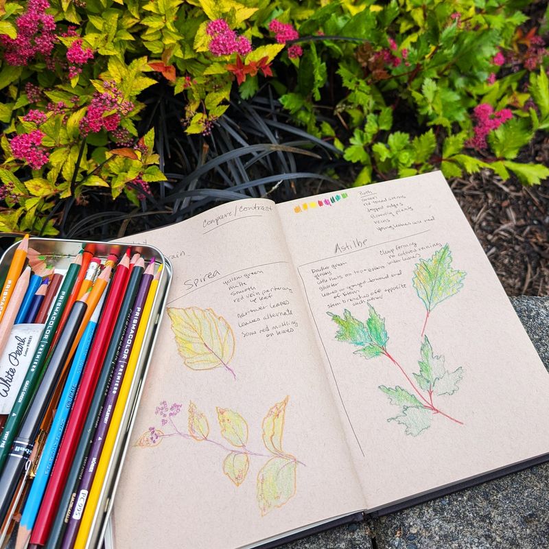 Garden Journaling