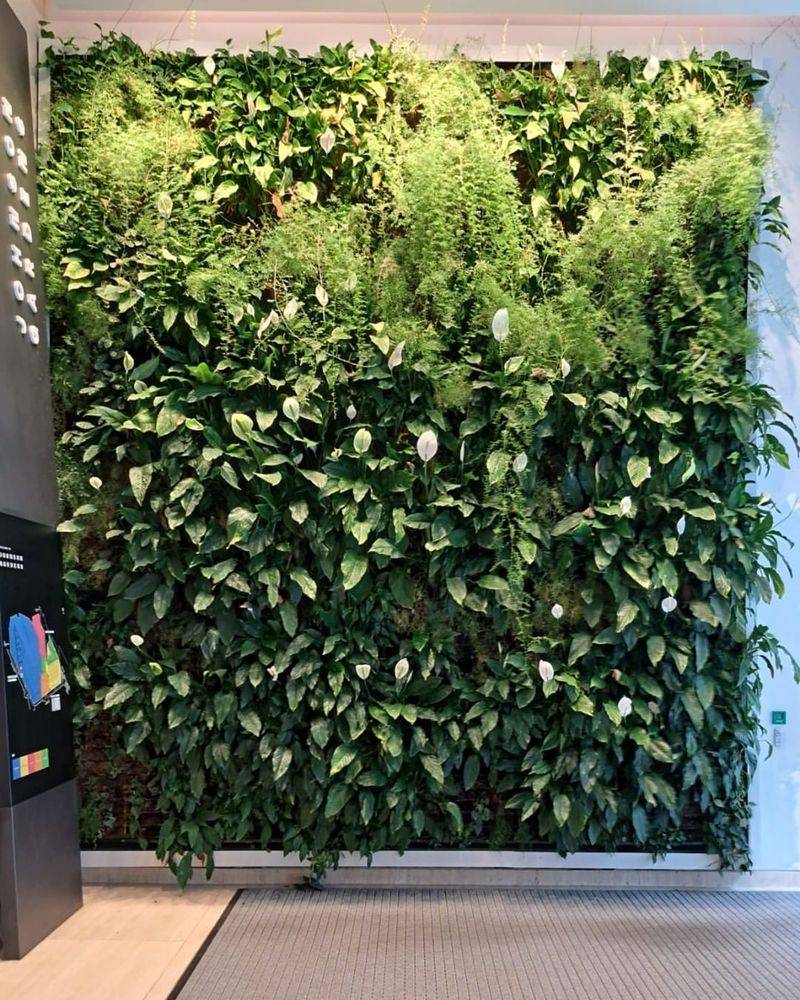 Living Wall Air Filters