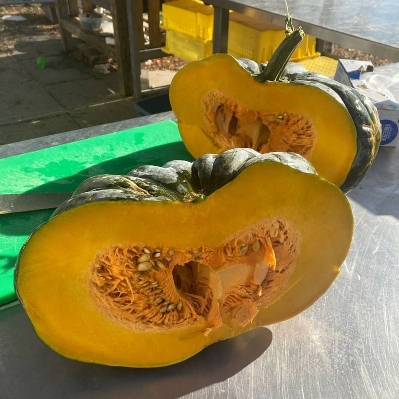Calabaza