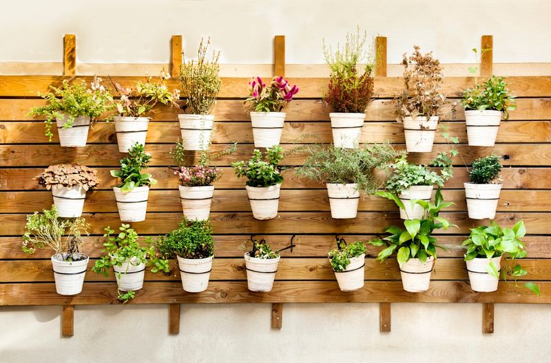 Vertical Herb Wall