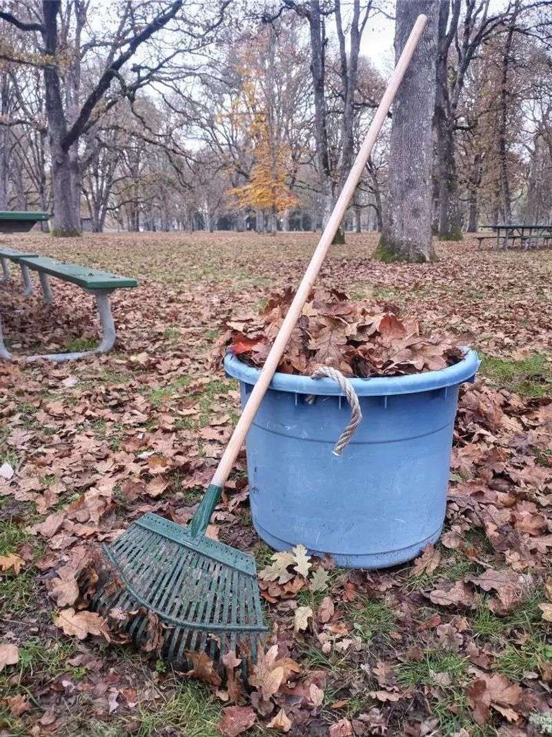 Rhythmic Rake Meditation