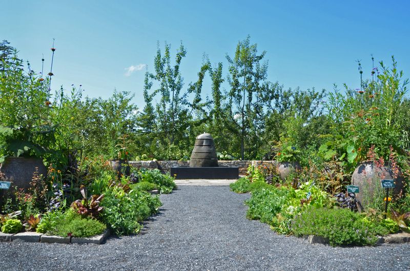 Burpee Kitchen Garden's Heirloom Treasures