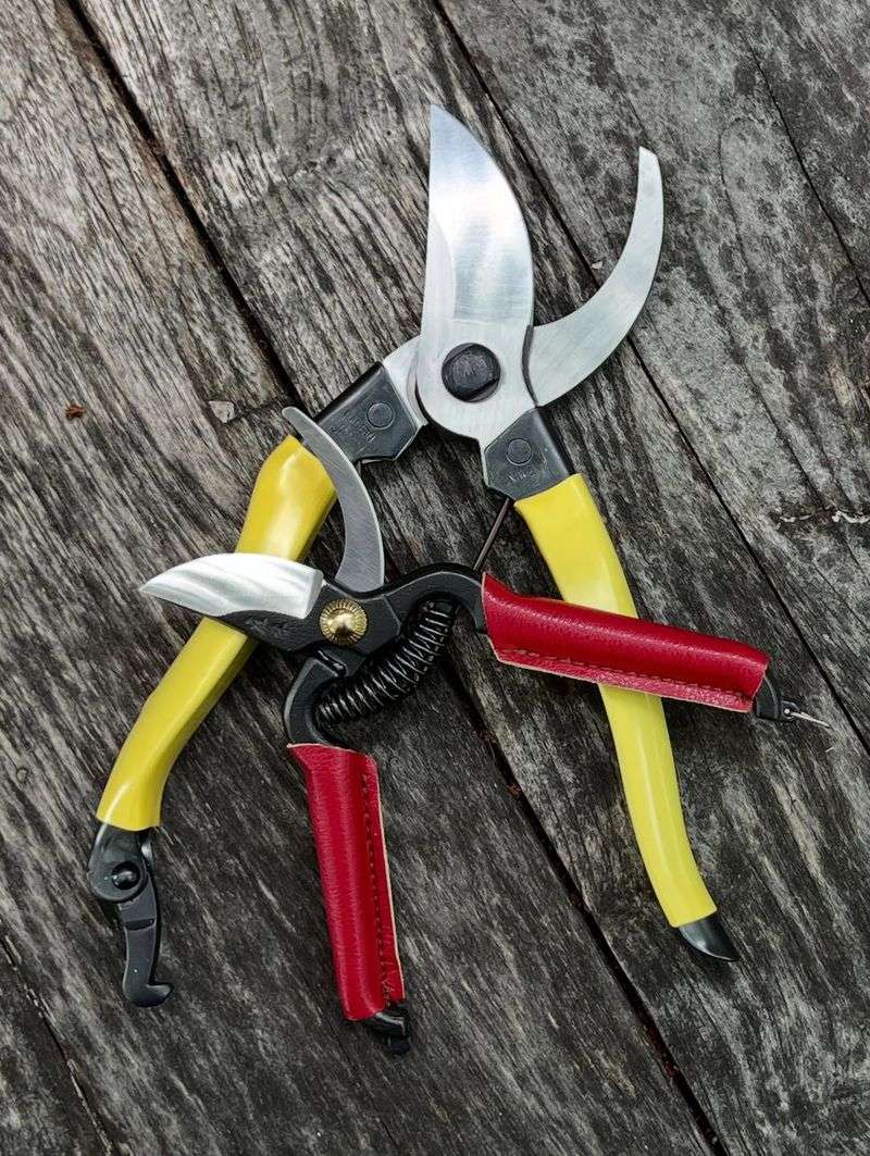 Succulent Leaf Cutter Helper
