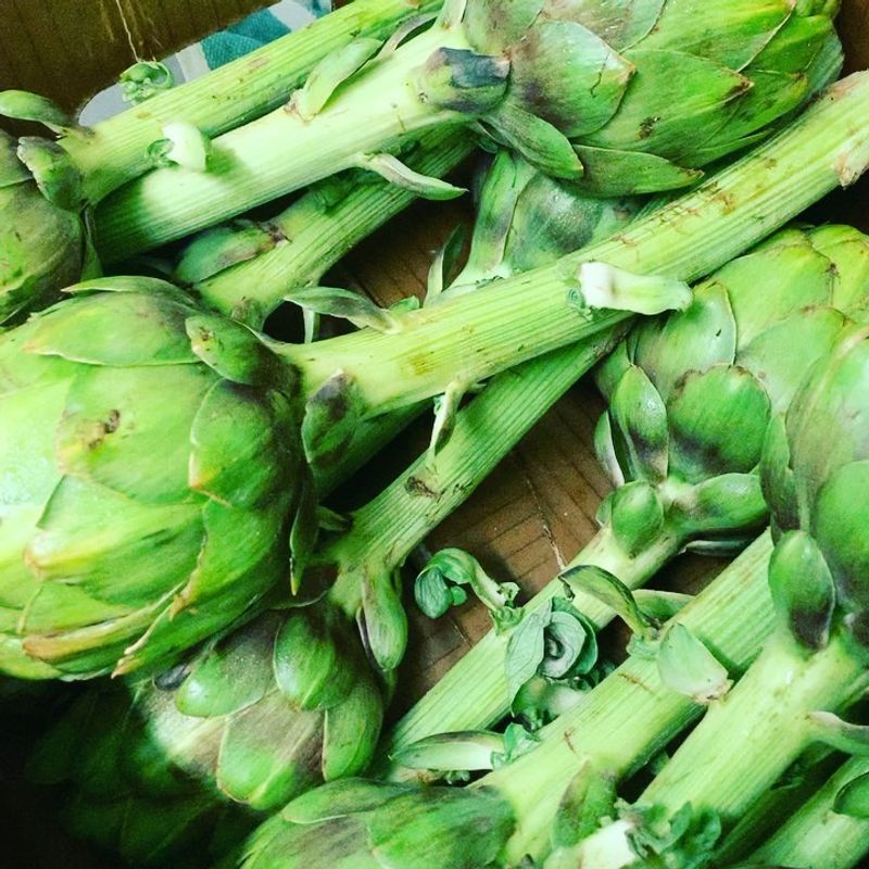 Artichokes Develop Perfect Texture