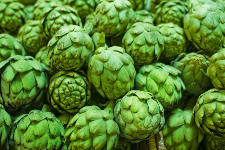 artichokes (featured image)
