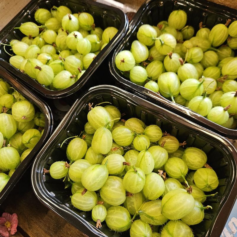 Gooseberries