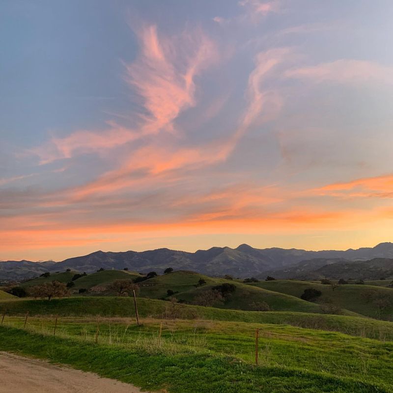 Los Olivos Wine Country Rose Trails