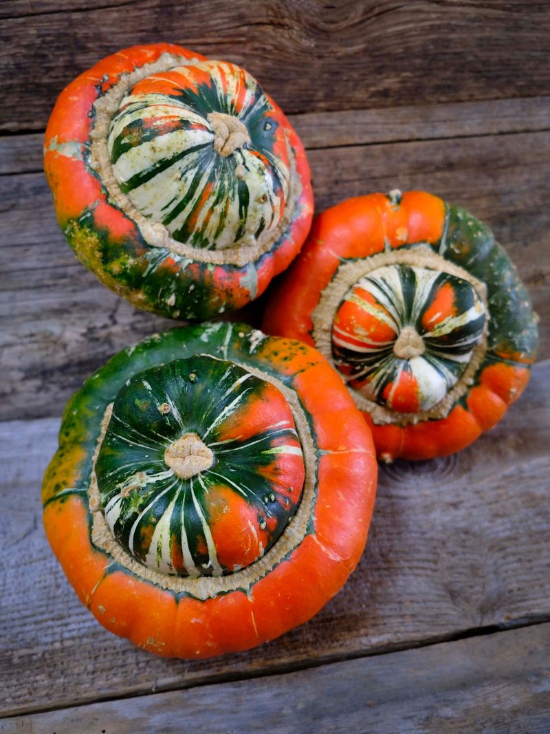 Turban Squash
