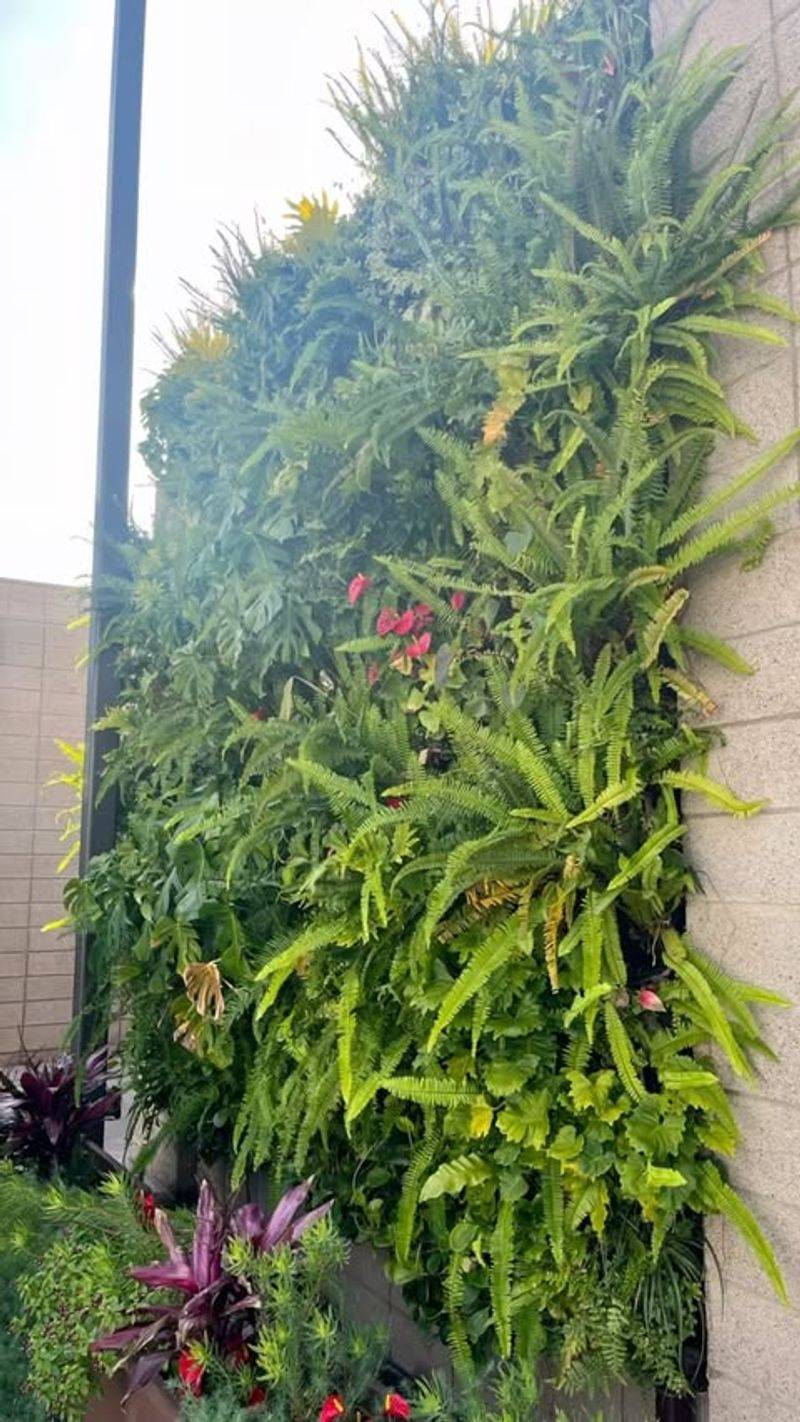 Living Wall