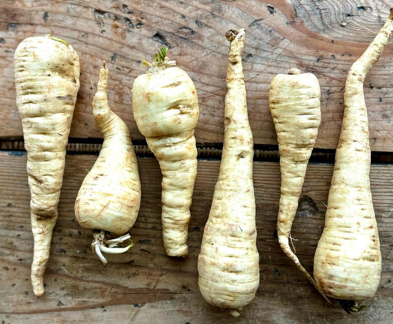 Parsnips