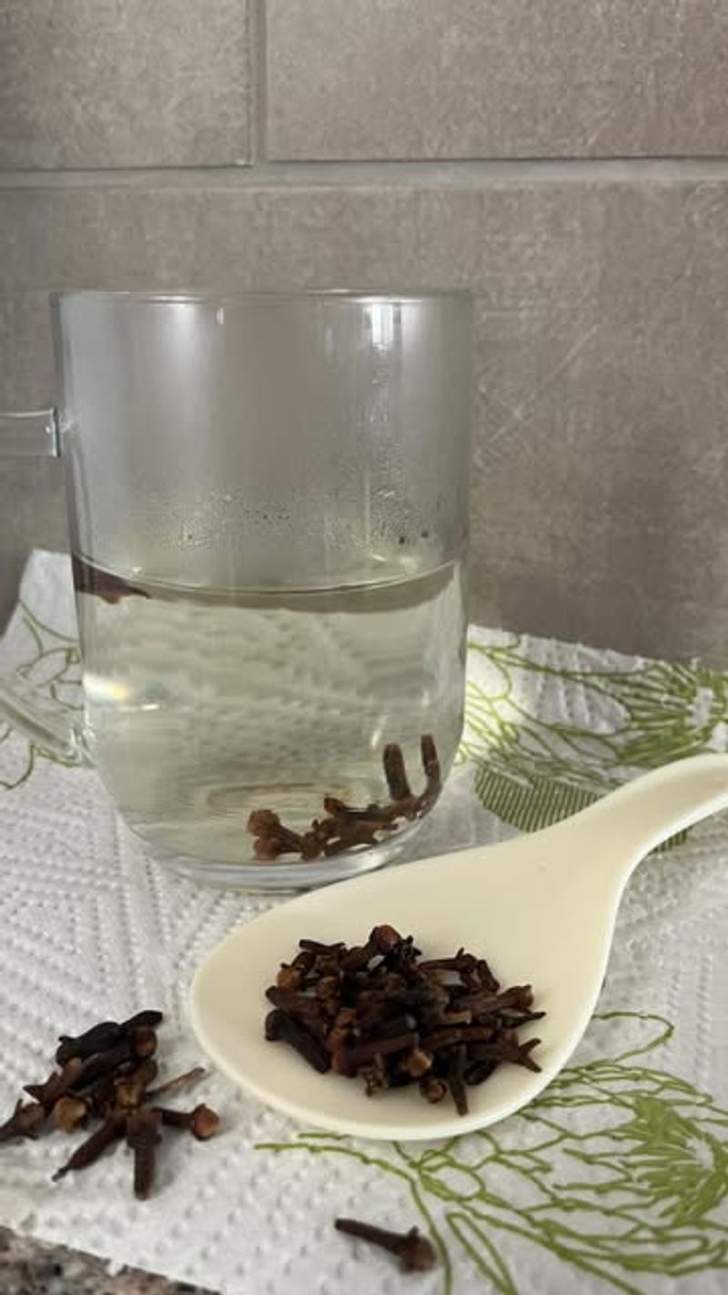 Clove-Infused Water Booster