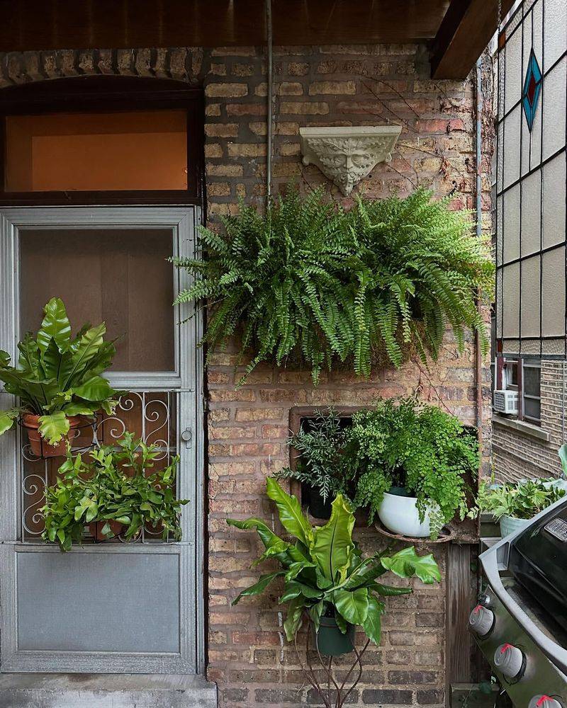 Door-Mounted Vertical Gardens