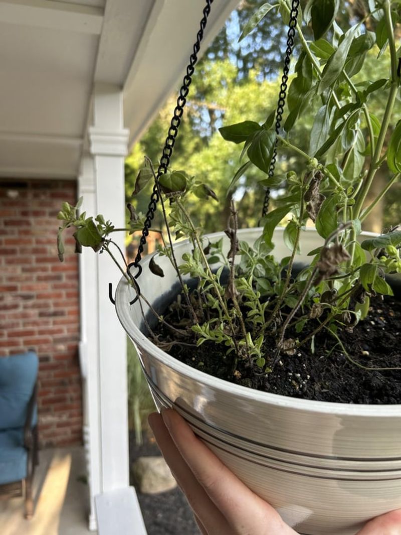 Branch-Suspended Bucket Cluster