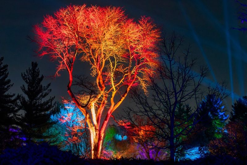Spectacular Seasonal Events