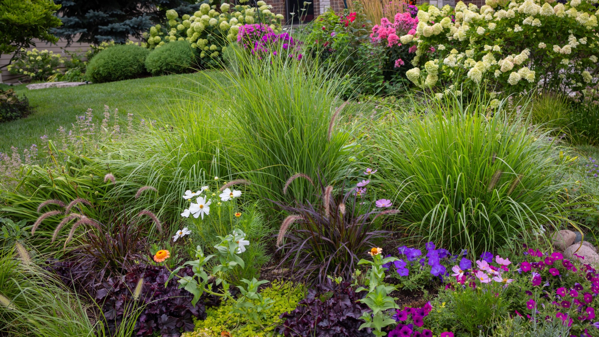 Chaos Gardens Give Many Phoenix Yards A Wild And Natural Look