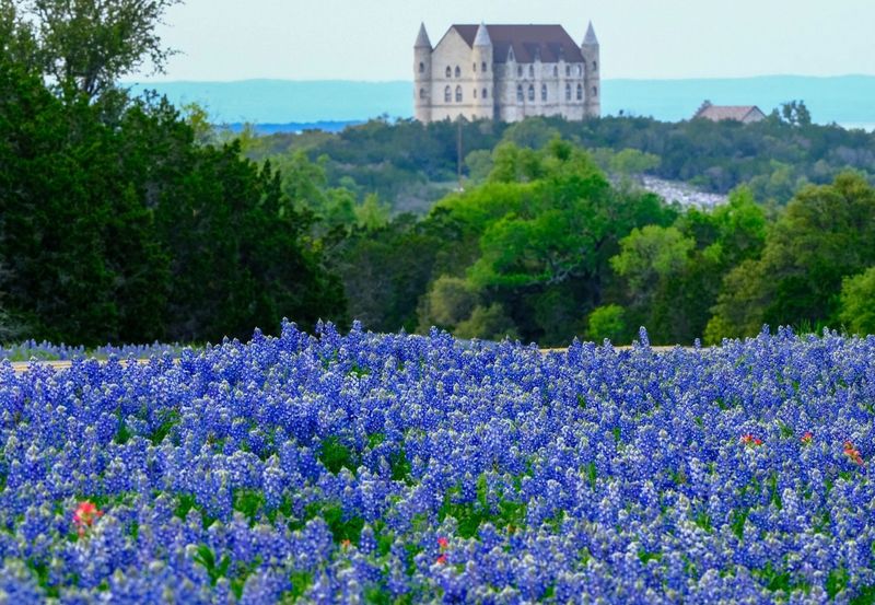 Burnet: The Bluebonnet Capital